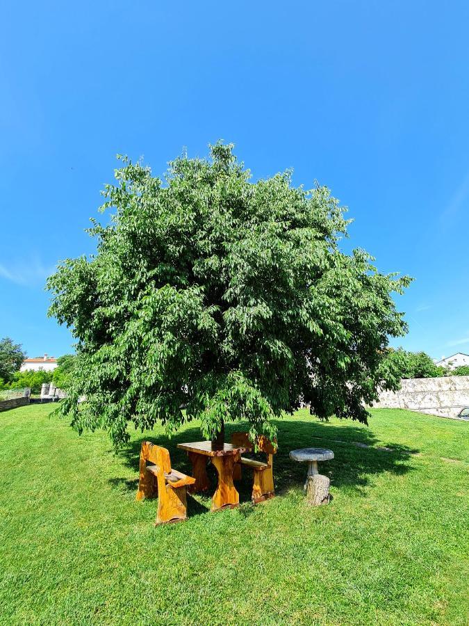 Guesthouse Casa Barbaro Rovinjsko Selo Dış mekan fotoğraf